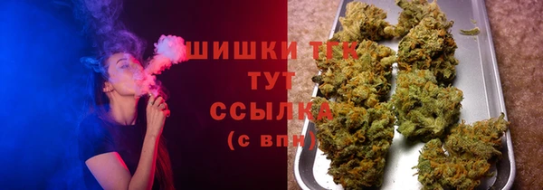 гидра Абаза