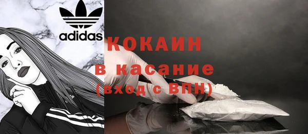 гидра Абаза