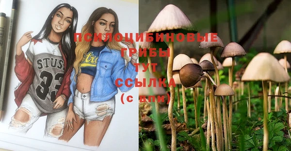 шишки Алексеевка