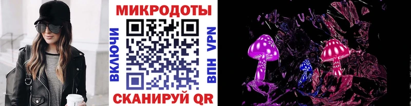Галлюциногенные грибы Psilocybe  ссылка на мегу как войти  Кировград  купить наркоту 